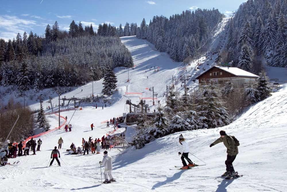 Au Chalet D'Aline - Atypique Pour 4 Personnes Villa Gérardmer Eksteriør bilde