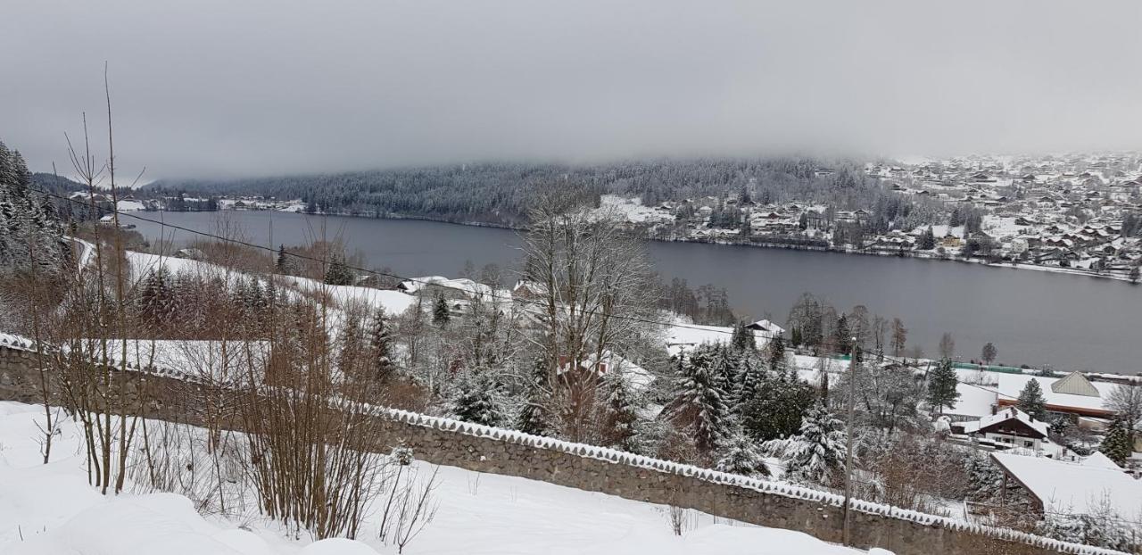 Au Chalet D'Aline - Atypique Pour 4 Personnes Villa Gérardmer Eksteriør bilde